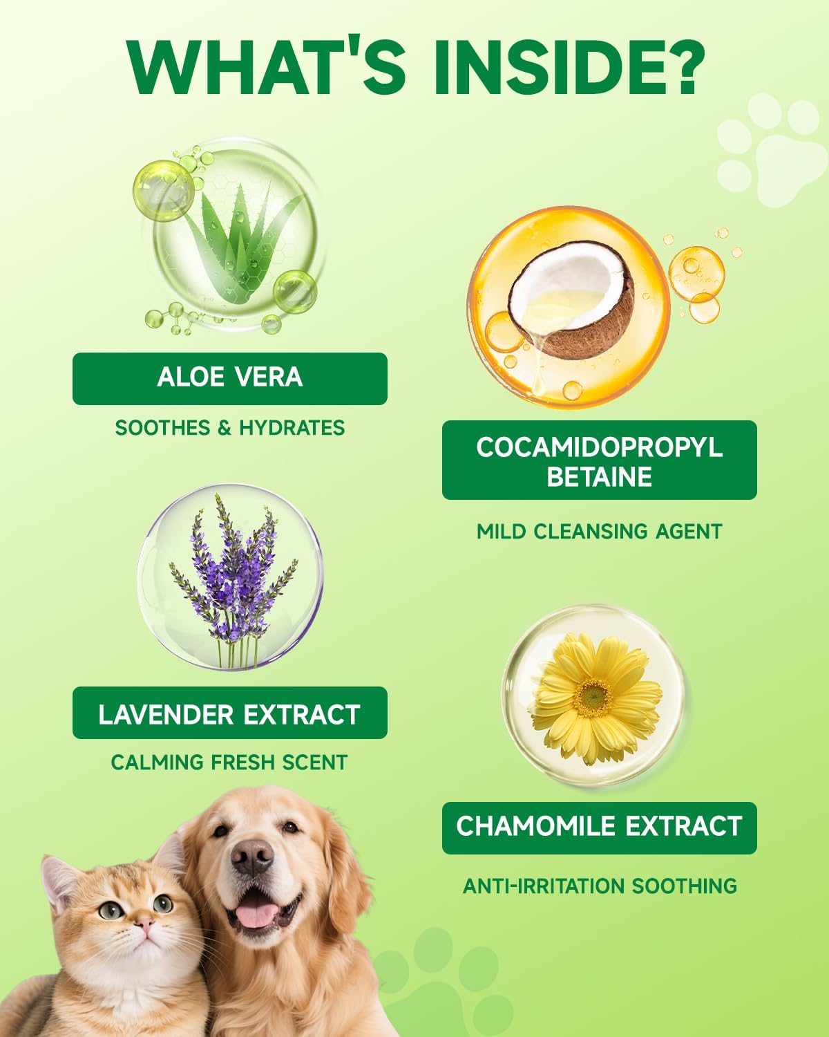 Cat & Dog Ear Cleaner - Gentle Cat & Dog Ear Cleaning Solution, Removes Debris, Wax Buildup, Odor, Itch Relief, 120ml Pet Ears Wash and Care with Aloe Barbadensis, Lavender, Chamomile, Non-Irritating