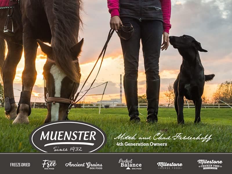 Muenster Adult Dry Dog Food - 22lb Bag Ancient Grain w/Ocean Fish & Freeze-Dried Meatballs Barnyard Chicken Recip