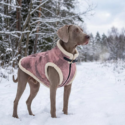 Retro Aviator Dog Jacket – Faux Leather Winter Coat with Plush Sherpa Fleece Lining for Dogs, Pilot Style Costume for Extra Large Puppies, Bomber Windbreakers for Boy & Girl Doggie, Pink XXL