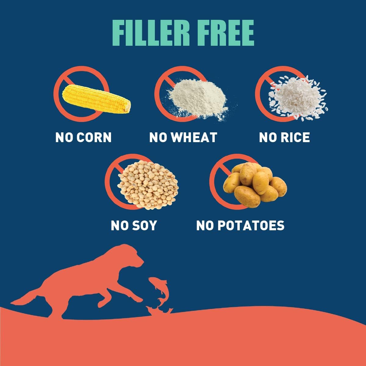 SUPER3+ Salmon Freeze Dried Raw Salmon Dry Dog Food | Puppy & Adult | Small & Large Breed | High-Protein | Grain-Free | All-Natural Nutrition | 3-lbs