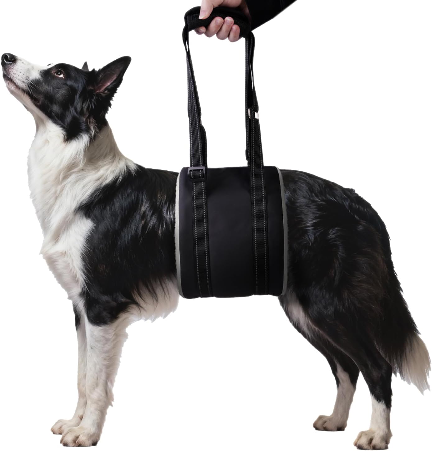 Adjustable Dog Lift Harness for Dog Sling Carrier with Handle Soft Rehab Support Sling for Weak Rear Legs Ideal for Seniors, Injured, and Post ACL Surgery Recovery(M)