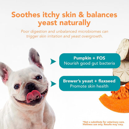 Ol'Nelly Pre & Probiotics for Dogs- 30 Soft Chews (Bacon) - Daily Dog Probiotics for Digestive & Gut Health - Diarrhea, Gas & Constipation Relief -All Ages and Breeds - Probioticos Perros Chewable