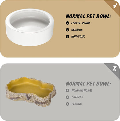 Reptile Food Dish Bowl, Worm Water Dish Small (2.75in) Lizard Gecko Ceramic Pet Bowl, Mealworms Bowls for Leopard Bearded Dragon Chameleon Hermit Crab Dubia Cricket Anti-Escape Superworm Feeder 2 Pack