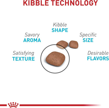 Royal Canin Feline Care Nutrition Urinary Care Adult Dry Cat Food, 6 lb Bag