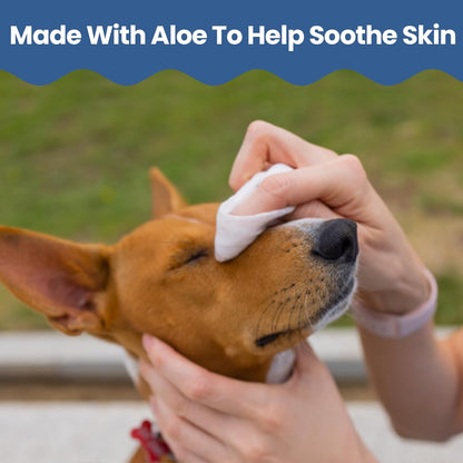 Replenish Antiseptic Wipes for Dogs and Cats - Dog Medicated Wipes with Chlorhexidine and Ketoconazole - Pet Grooming Wipes - Dog Allergy Wipes for Itch Relief, Hot Spots & Skin Irritation - 50 Count