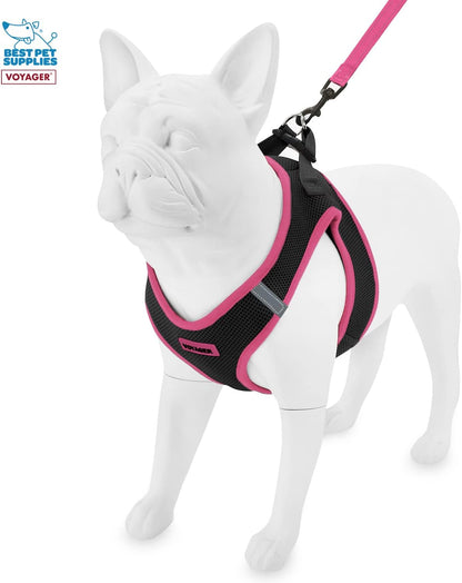 Voyager Step-in Air All Weather Mesh Harness & Reflective Dog 5 ft Leash Combo, Neoprene Handle for Small, Medium, Large Breed Puppies by Best Pet Supplies - Leash Harness (Black/Pink Trim), L