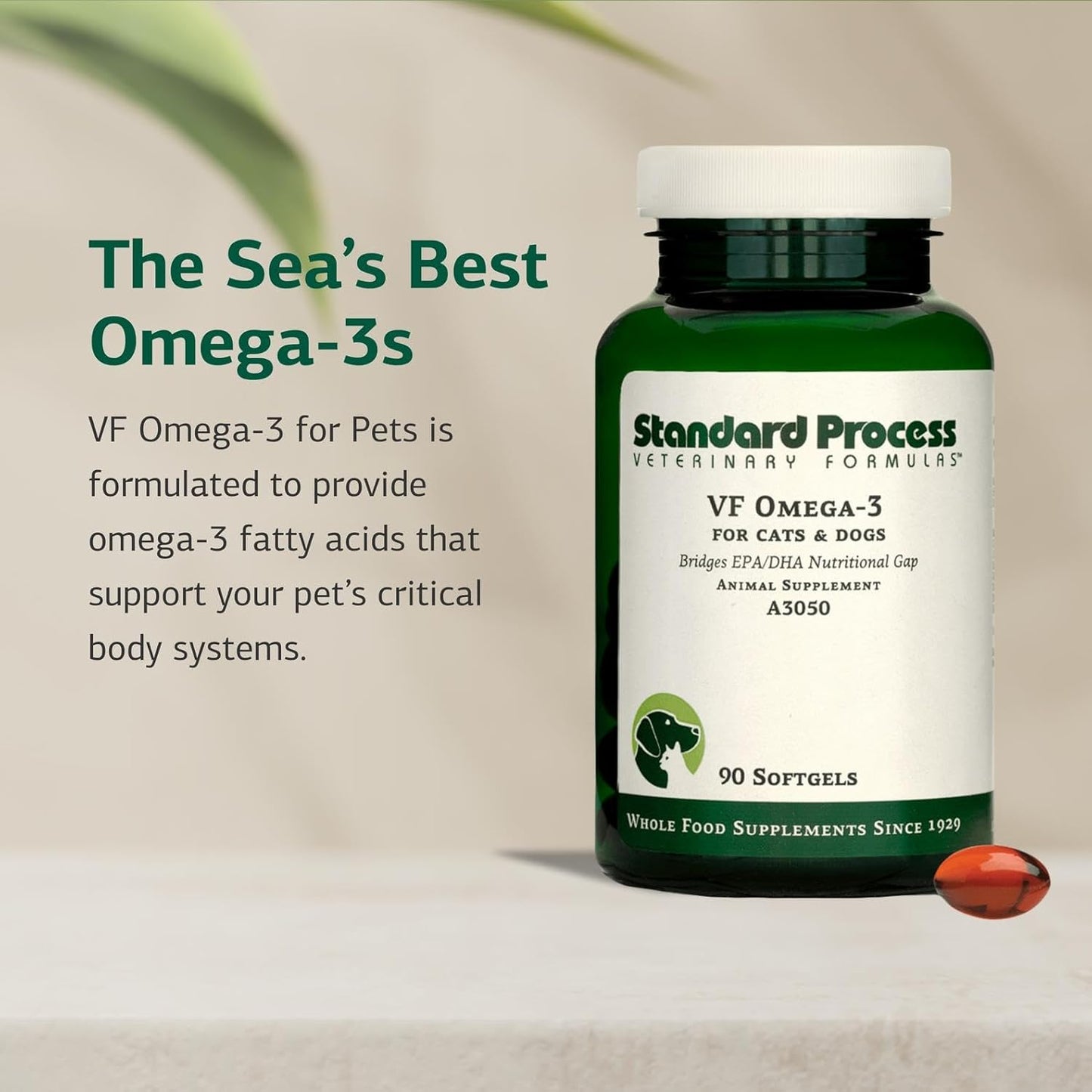 Standard Process Inc. VF Omega-3 for Pets - Dietary Supplement with Omega-3 Fatty Acids - Support Bone Growth, Immune Health, Heart Health - Fish Oil Supplement for Pets - 90 Softgels