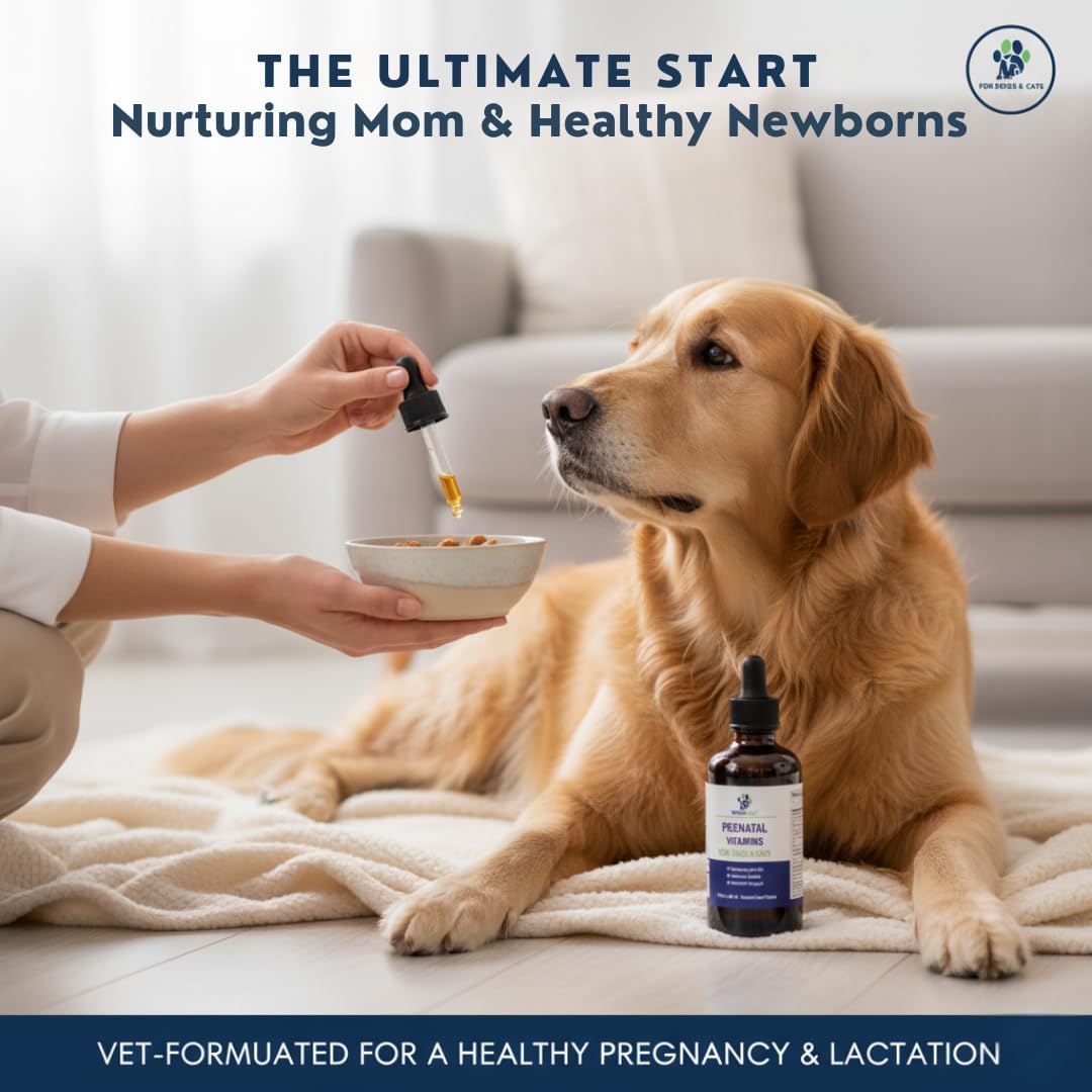 Liquid Prenatal Vitamins for Dogs & Cats - Folic Acid, Calcium & Iron Drops - Essential Support for Dog Pregnacy, Breeding & Lactation - Healthy Litter Growth - Beef Flavor, 60 ml