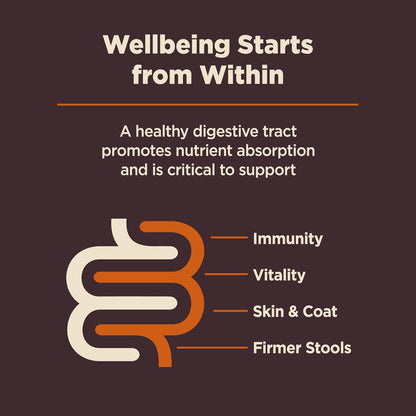 Wellness CORE Digestive Health Dry Dog Food, Wholesome Grains, Natural, Recipe for Dogs with Sensitive Stomachs, Chicken, (24-Pound Bag)