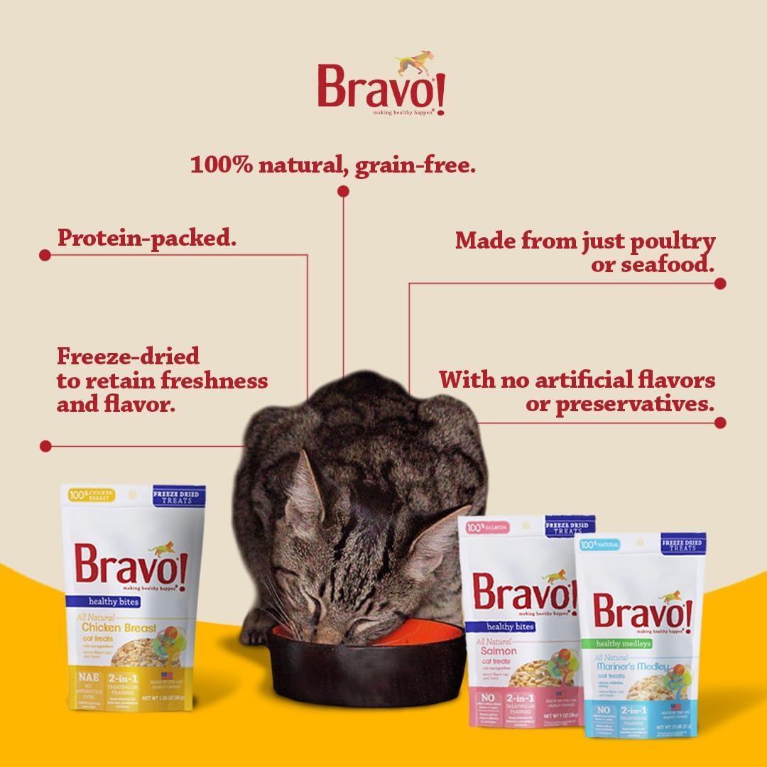 Bravo! Healthy Bites Single Ingredient Freeze Dried Raw Cat Treats, Salmon, 1 Ounce, High Protein, Grain Free, Gluten Free (Pack of 3)