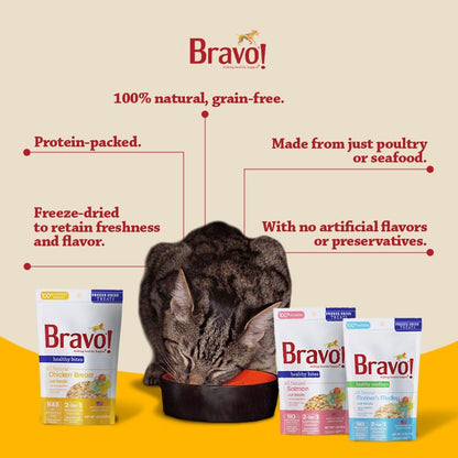 Bravo! Healthy Bites Single Ingredient Freeze Dried Raw Cat Treats, Salmon, 1 Ounce, High Protein, Grain Free, Gluten Free (Pack of 3)