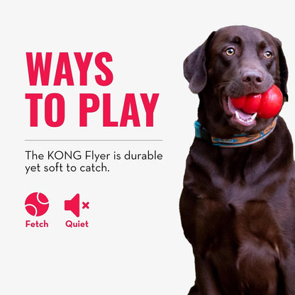 KONG Flyer - Durable Dog Toy for Outdoor Playtime - Natural Rubber Flying Disc, Dog Toy for Fetch - Safer Disc for Healthy Activity - for Medium/Large Dogs