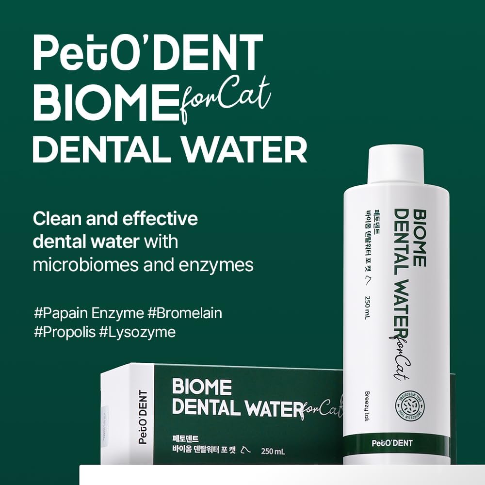 PetO’Dent Dental Water Additive for Cats–No Brushing Needed, Fresh Breath, Tartar Control & Gum Care with Catnip & Silvervine Extracts, 8.45 fl oz / 250ml