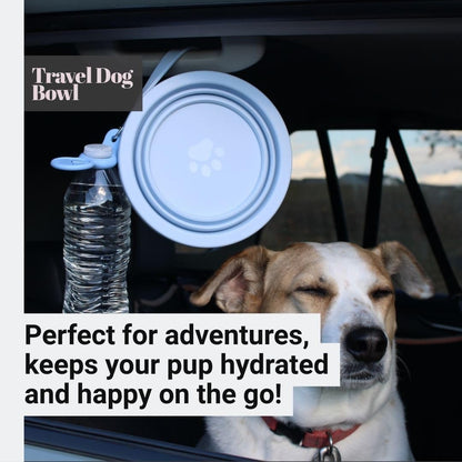 Black Slow Feeder 3-in-1 Travel Dog Bowl Set – 30 OZ Stainless Steel + 20 OZ Collapsible BPA-Free Silicone Bowl Lid | Silicon Slow Feeder Insert | Non-Slip, Anti-Choking|, Carabiner | We give Back