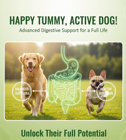 Healthy Dog Training Treats, Grain-Free, Low-Calorie Rewards for Training & Digestion. Probiotics for Gut Health & Rewarding, 100 Counts