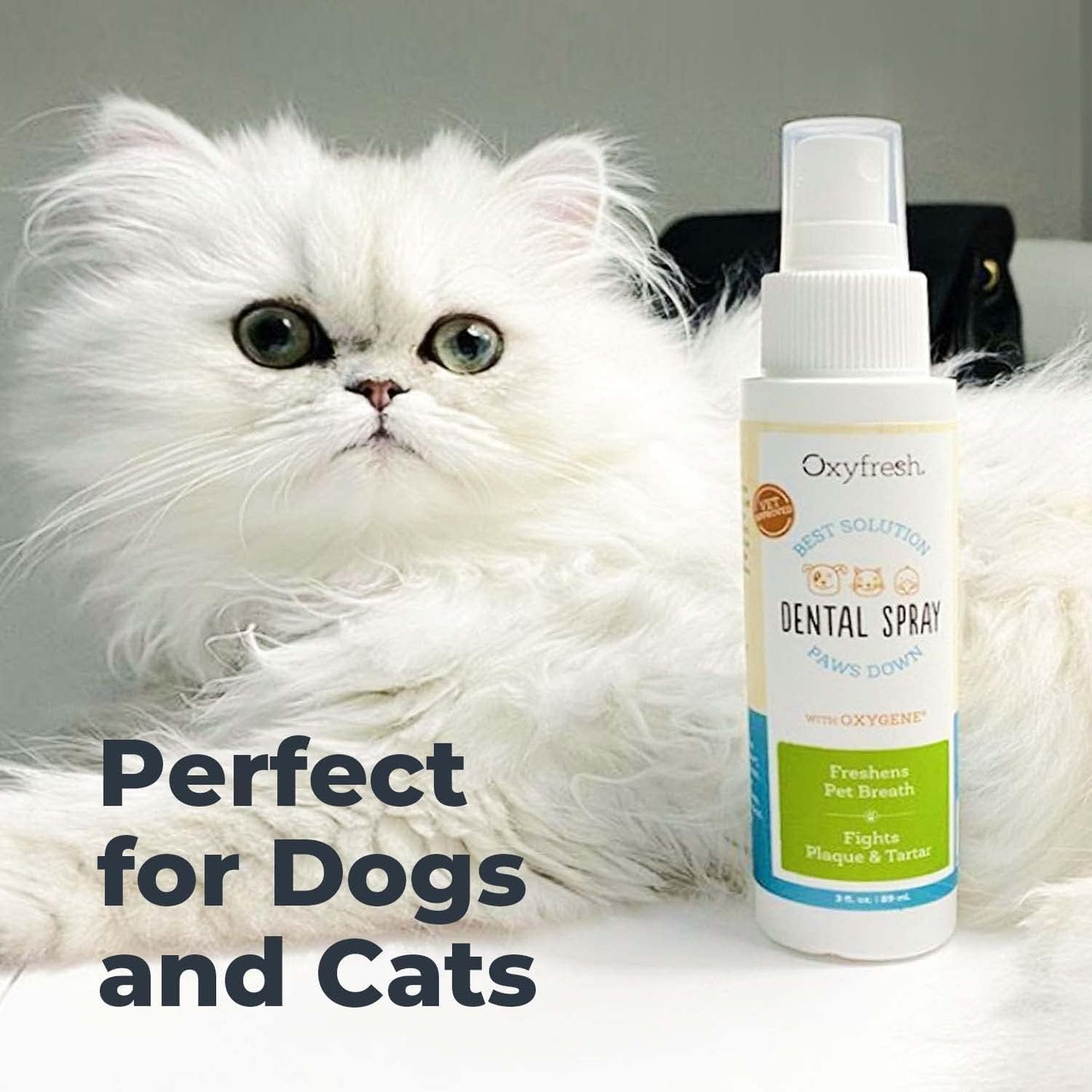 Oxyfresh Advanced Cat & Dog Breath Spray – Instant Pet Breath Freshener: Easy No Brushing Teeth Cleaning Solution – Fight Plaque, Keep Teeth & Gums Healthy