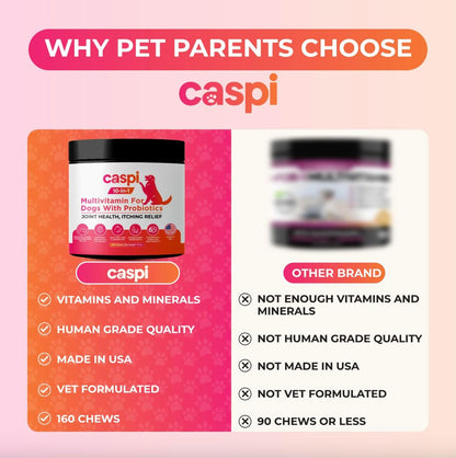 Caspi 10-in-1 Dog Multivitamin with Probiotics – Joint Health, Itching & Skin Relief, Omega-3 Salmon Oil, Glucosamine, Vitamins & Minerals – Daily Chew Supplement for Dogs – 160 Soft Chews