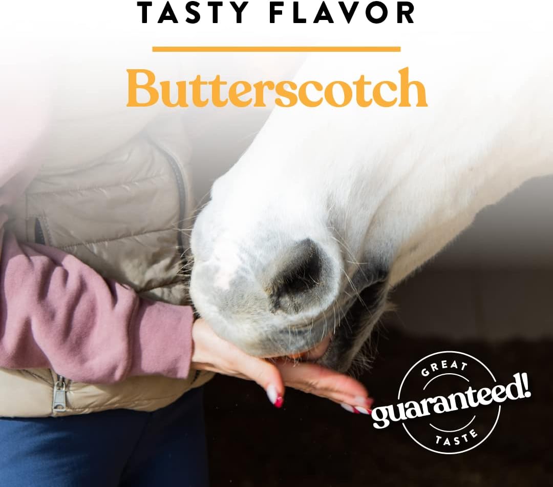 Manna Pro Bite-Size Nuggets for Horses, Butterscotch Flavored Horse Training Treats, Reward and Bond with Your Horse, Promotes Positive Reinforcement, 4 Pound Bag