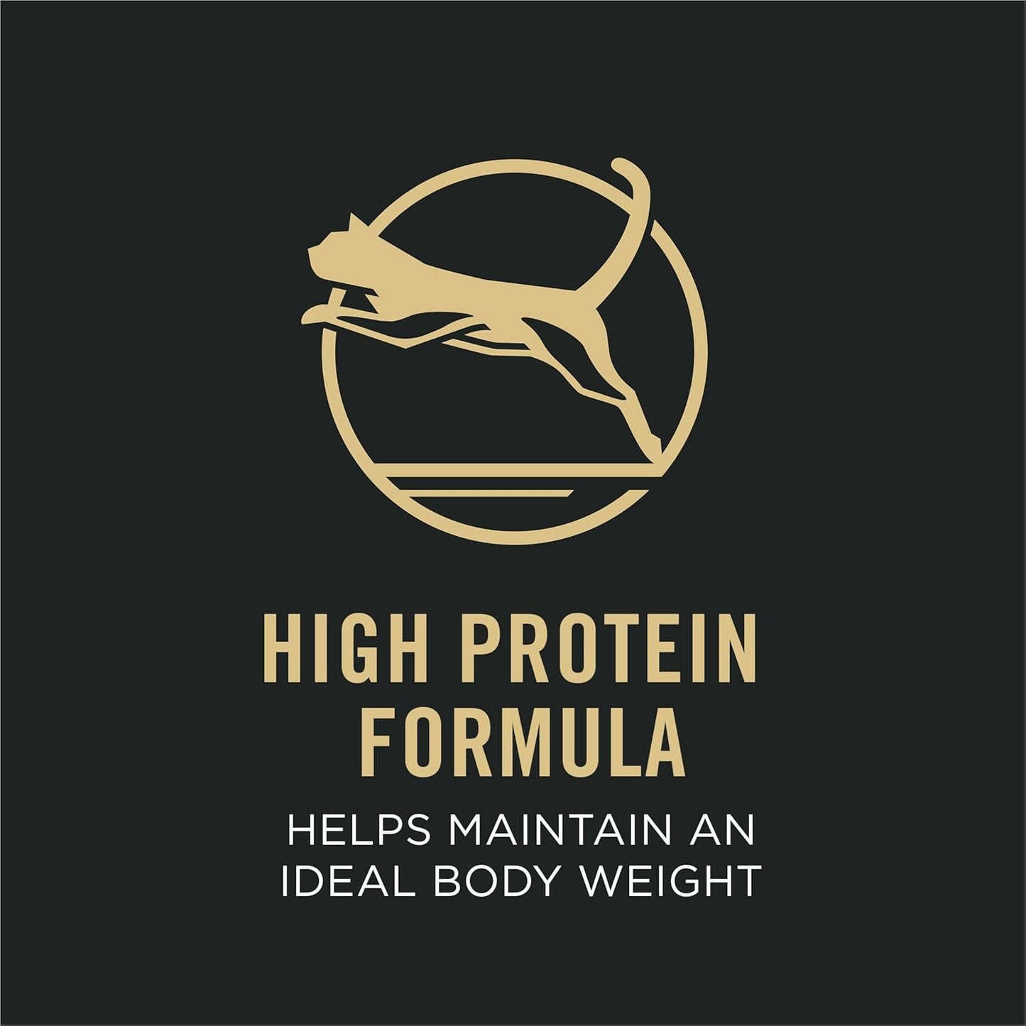 Purina Pro Plan Indoor Cat Food Indoor Balance Grilled Salmon Entree in Sauce - (Pack of 24) 3 oz. Pull-Top Cans