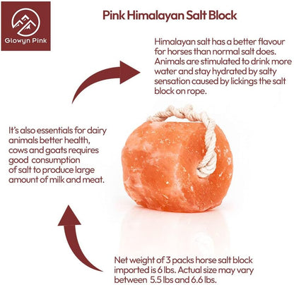 Glowyn Himalayan Salt Lick-Natural Minerals Block on Rope - 4.0 lbs. (6 Packs) - Great for Horses, Cattle, and Live Stock– Long Lasting – Pink Salt Lick