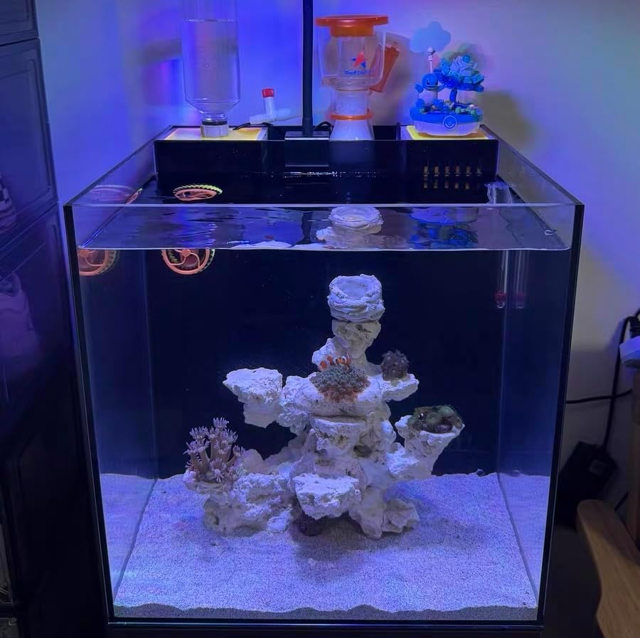 Dry Base Rock for Aquarium White Coral Ornament Sea Base Rocks for Aquarium Aquascaping (7lb,Mix Size & Shape)