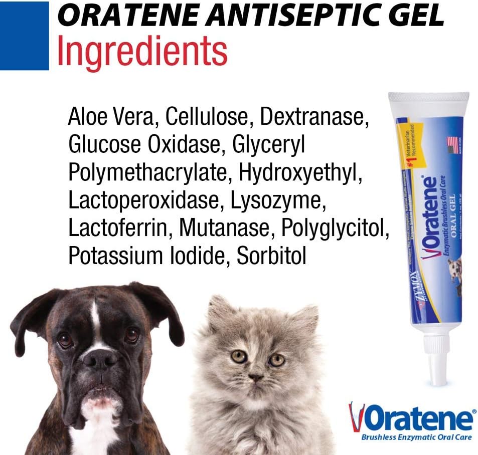 Pet King Brands ZYMOX Oratene Brushless Oral Gel for Dogs and Cats, 1oz
