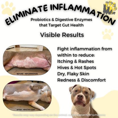 Dog & Cat Probiotics, Prebiotics, & Digestive Enzymes – Flavorless Powder for Gut Health, Allergies, Itchy Skin, Gas & Diarrhea – Organic, Vet-Approved – 65g Bottle (Up to 65 Servings)