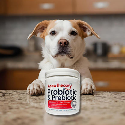 Apawthecary Probiotic and Prebiotic Supplement for Dogs, 5 Billion CFU, 7 Strains, Gut Health Support, 3.8 oz Powder with Pumpkin and Carrot