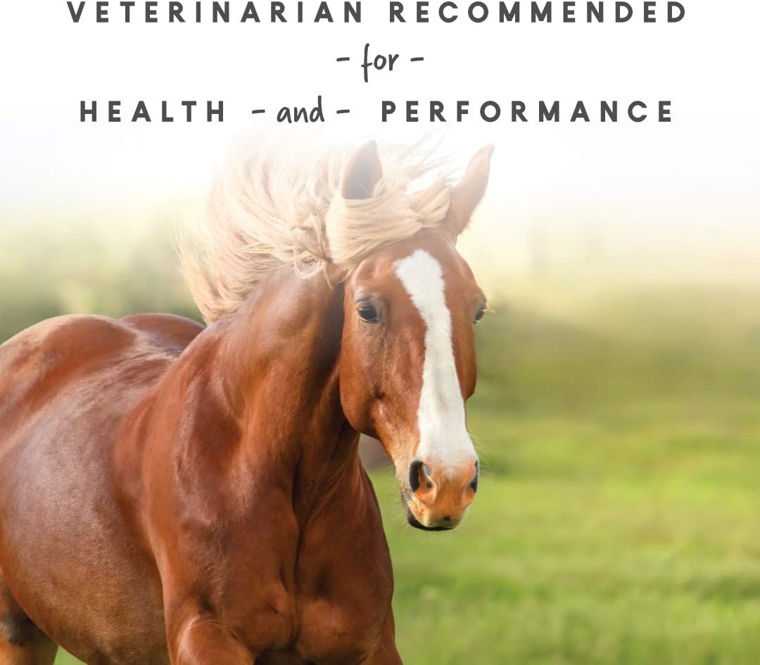 Manna Pro Sho-Glo Supplement for Horses | Complete Vitamin & Mineral Supplement for Healthy Skin & Coat | 5 Pounds
