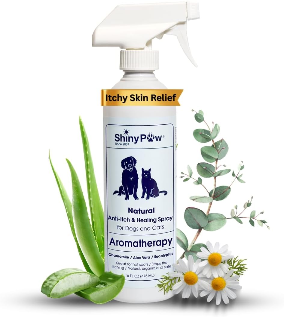 Dog Itch Relief Spray by Shiny Paw 16 oz | Aloe Vera & Eucalyptus Skin Itch Remedy | Dog Hot Spot Spray | Natural Anti Itch Spray for Pets | Dog Itchy Skin Relief | Made in USA