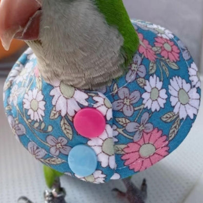 Bird Collar - Anti-Bite Elizabethan Recovery Cone Feather Plucking Protector Skin-Friendly Neckwear for Parakeets Conures Cockatiels Lovebirds Budgies Cockatoos African Grey Random Color (M)