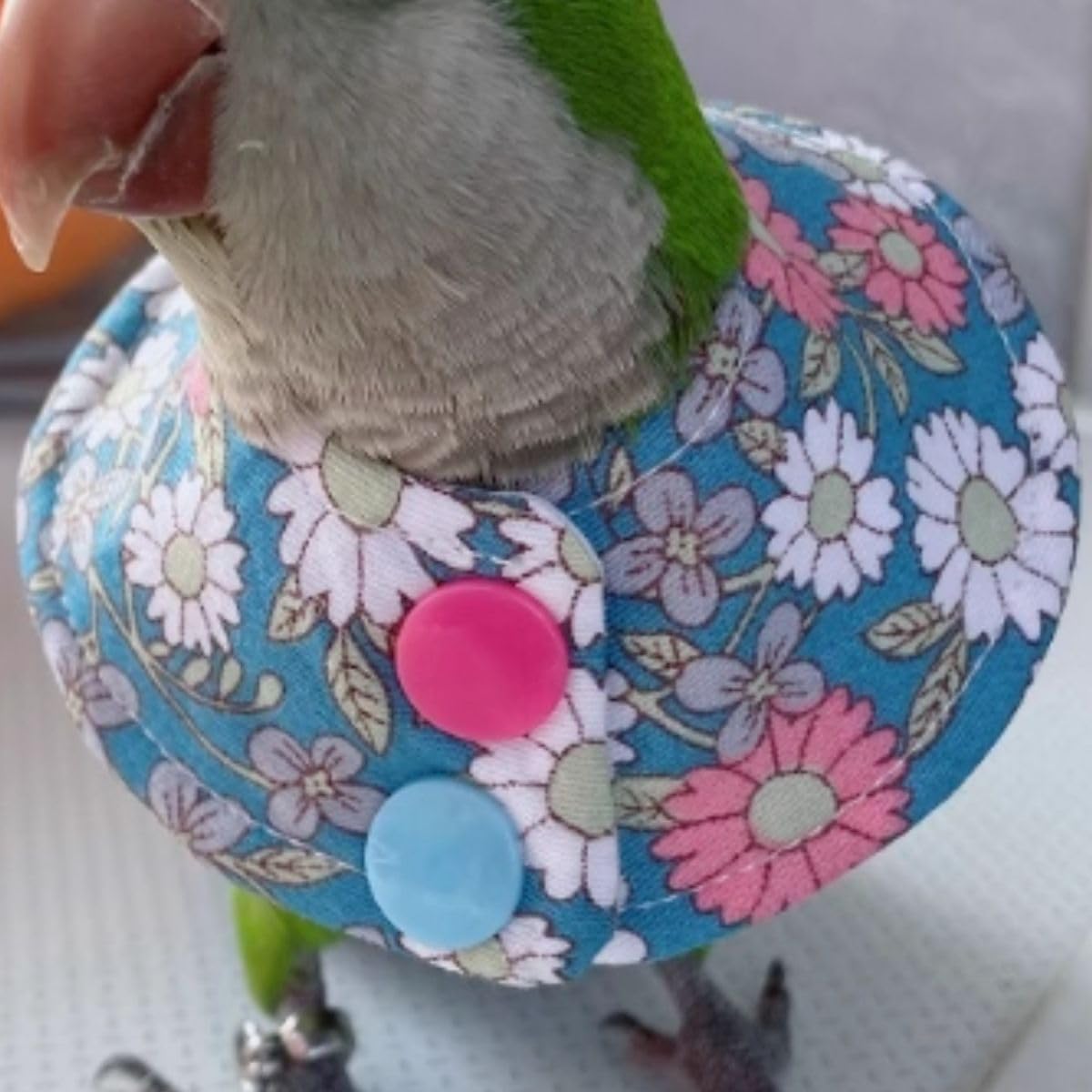 Bird Collar - Anti-Bite Elizabethan Recovery Cone Feather Plucking Protector Skin-Friendly Neckwear for Parakeets Conures Cockatiels Lovebirds Budgies Cockatoos African Grey Random Color (M)