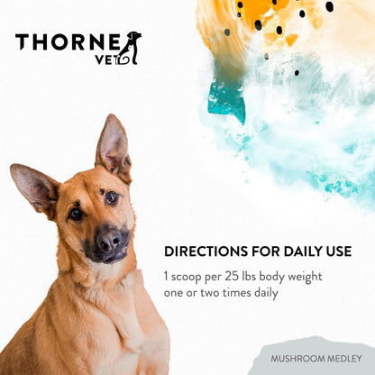 ThorneVet Mushroom Medley for Dogs - Immune System Support Plus Antioxidants - with Reishi, Turkey Tail, Cordyceps, Maitake, and Chaga Mushrooms - Support for Dogs Having Cancer Treatment - 120 Scoops