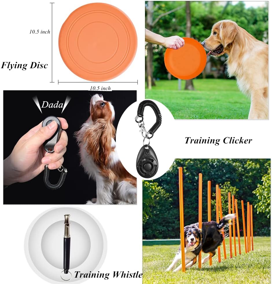 Agility Training Set for Dogs - Affordable Training Kit Dog Jump Training Obstacle Course Starter Kit Pet Outdoor Games with Tunnel, Dog Flying Disc, Weave Poles, Jump Ring, Carrying Bag