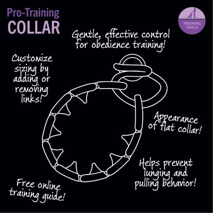 Starmark Pro-Training Dog Collar Large