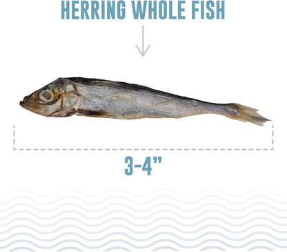 Icelandic+ Whole Fish Herring - 3oz Bag - Dog Treats, Pure Wild-Caught & Air-Dried, Single Ingredient Snack, Pet Chew, Just The Fish Nothing Else