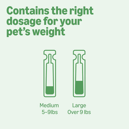 Amazon Basics PreventativeFlea and Tick Topical Treatment for Cats (Over 1.5 Pounds), 6 Count