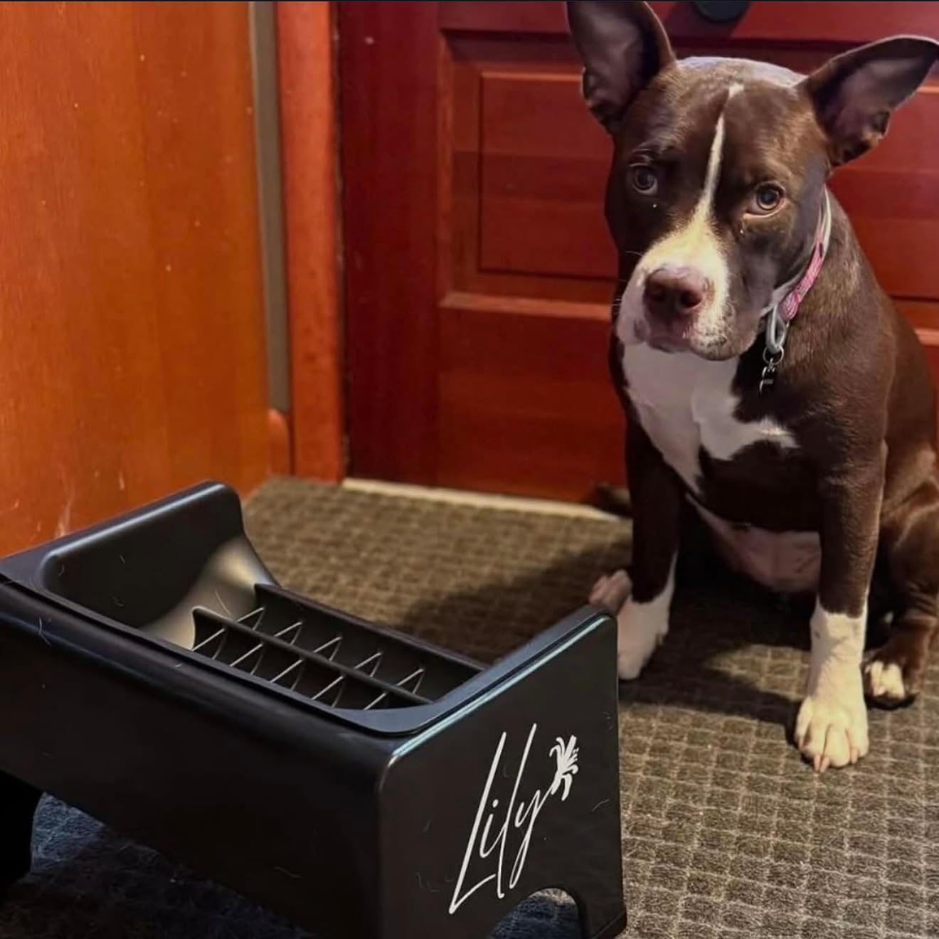 Fluff Trough XL Binge Blocker – Elevated Slow Feeder Dog Bowl with Silicone Slow Feeder Insert, Raised Dog Bowl & Food Container for Medium Large Dogs, Vet Recommended Elevated Dogs Dish (Black)