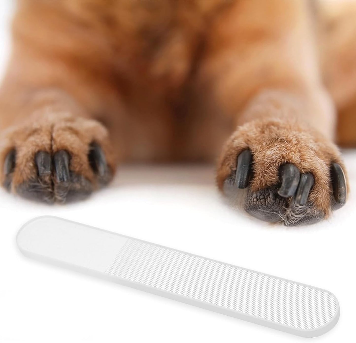 Gentle Painless Pet Nail File for Dogs and Cats with Non-Slip Handle Claw Care Tool for Large Medium Small Breeds Comfortable Ergonomic Grip Pet Claw Grooming Accessory