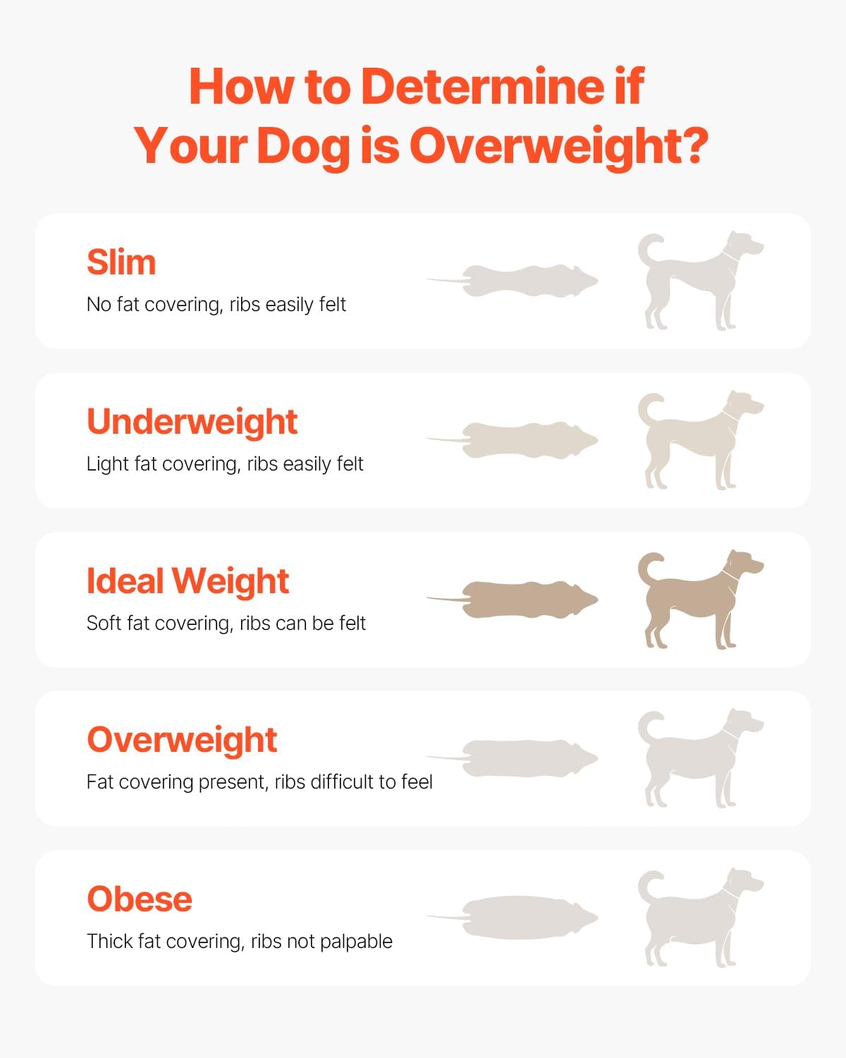 VEVOR Dog Treadmill for Large/Medium Dogs with Brake, Slatmill with 3 Adjustable Ramps, Doggy Pacer to Unleash Joy, Keep Active & Fit, Supports Up to 330 lbs