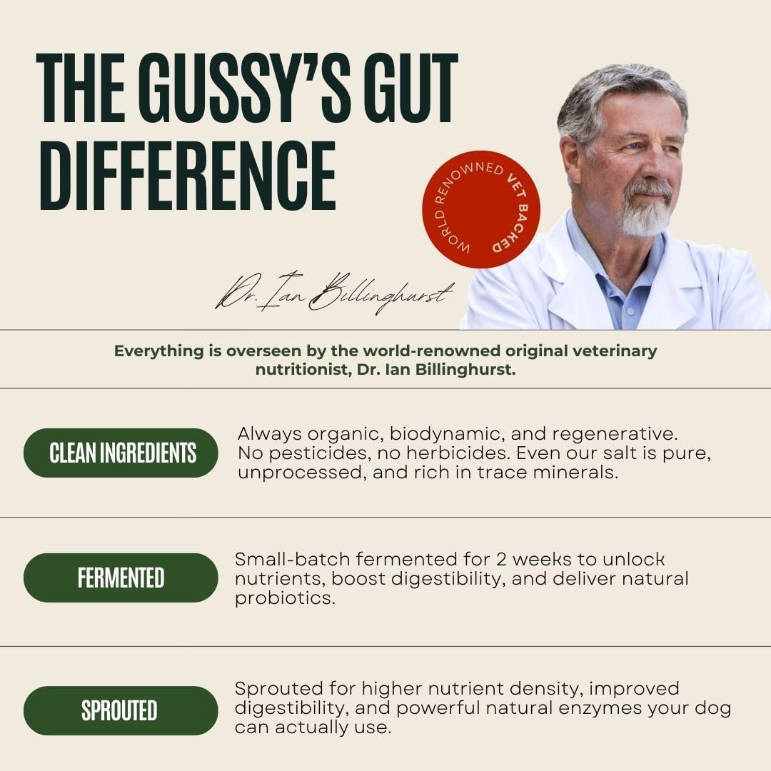 Gussy's Gut Youthful Grasses & Sprouts Dog Gut & Digestive Health Supplement- Human Grade Fermented Ingredients- Super Greens, Pre/Post & Probiotic All in One - Maintain Protocol