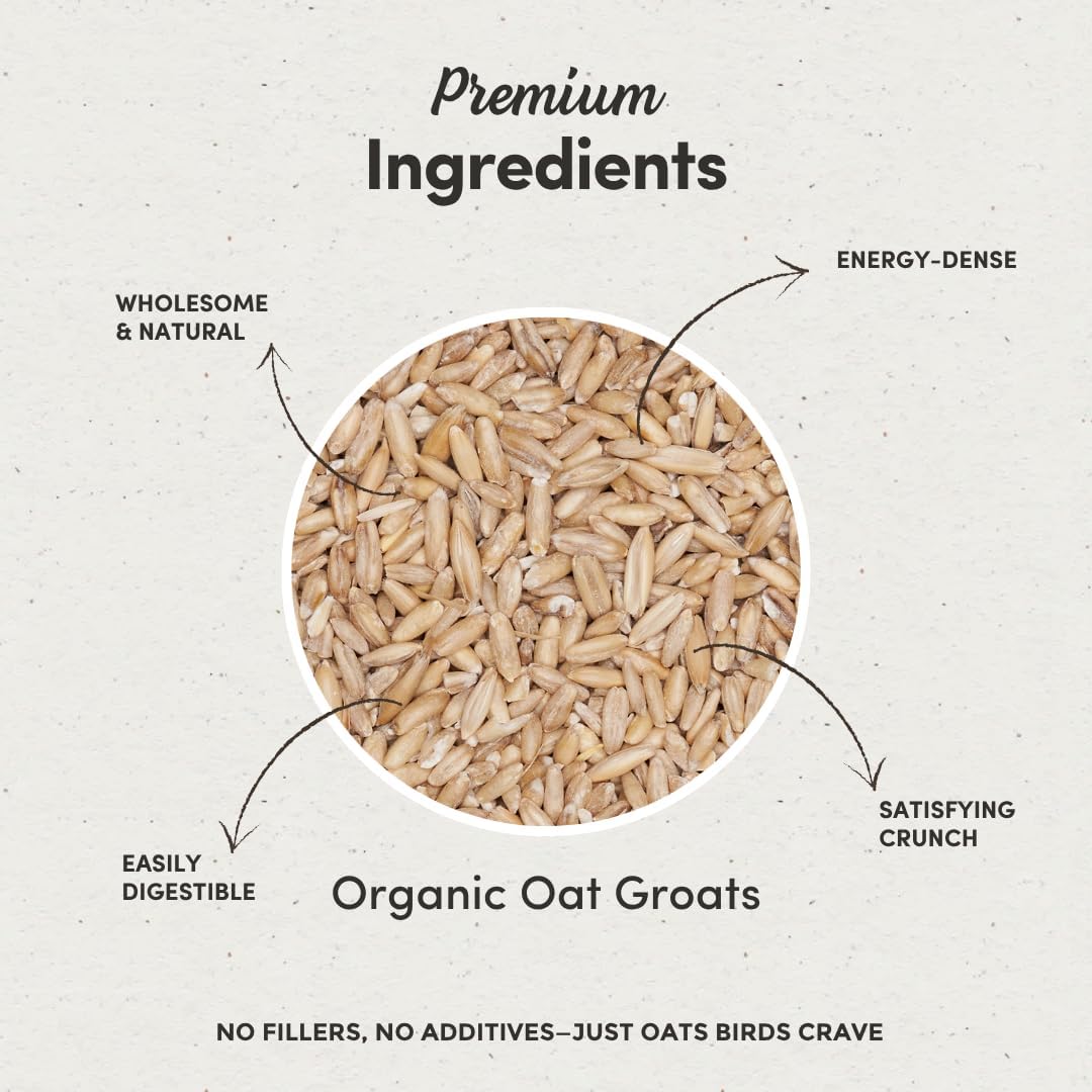 Mycelium Organic Oat Groats for Birds (5 LB Bag) | Clean, Non-GMO Grain Treat or Food Additive | Debris & Dust-Free Advanced Sifting | Ideal for Small Pet & Ground-Feeding Wildlife Birds | Made in USA