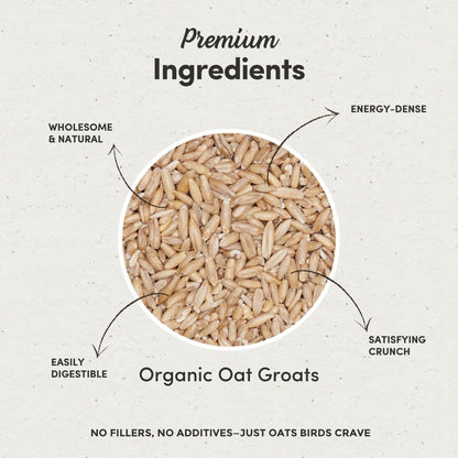 Mycelium Organic Oat Groats for Birds (5 LB Bag) | Clean, Non-GMO Grain Treat or Food Additive | Debris & Dust-Free Advanced Sifting | Ideal for Small Pet & Ground-Feeding Wildlife Birds | Made in USA