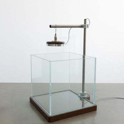 1.8 Gallon Small Fish Tank with LED Light & Wood Stand - 8 Inch Nano Aquarium Betta Tank Starter Kit - Includes Cleaning Tool, Cloth & Mat for Desktop, Office, Bedroom