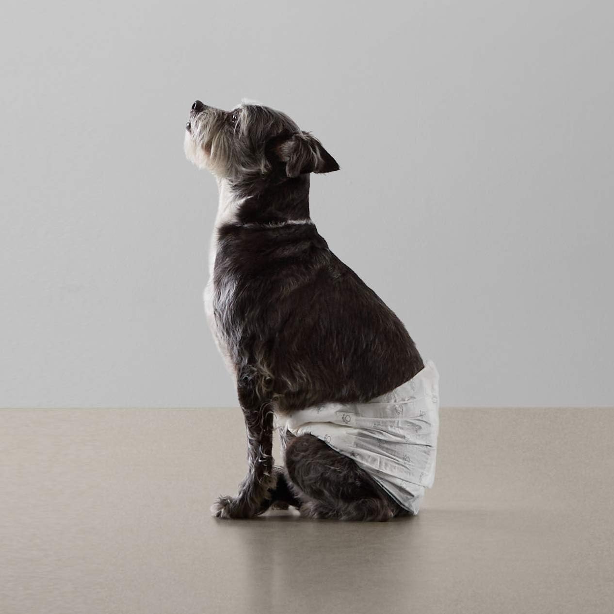 Amazon Basics Male Dog Diapers, 30 Count, Small, Ultra Absorbent Disposable Wrap with Secure Fit, Leakproof and Comfortable