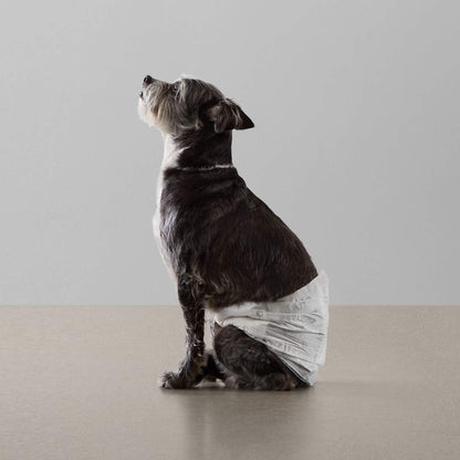 Amazon Basics Male Dog Diapers, 30 Count, Small, Ultra Absorbent Disposable Wrap with Secure Fit, Leakproof and Comfortable