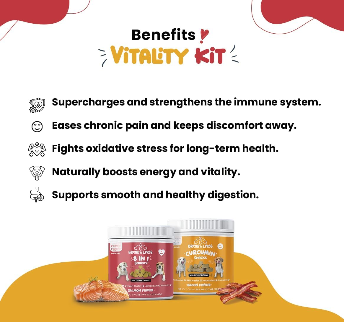 Turmeric & Multivitamin Chews for Dogs – 10-in-1 Supplement with Glucosamine, Curcumin, Omega Fish Oil & Antioxidants – Joint Pain Relief, Immune, Digestive, Skin & Coat Support (90 Chews)