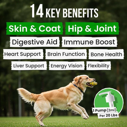 Fish Oil for Dogs & Cats - Natural Omega-3 - Skin & Coat Support - Liquid Food Supplement for Pets - Natural EPA + DHA Fatty Acids for Joint Function, Immune & Heart Health - 8 (fl oz) Salmon