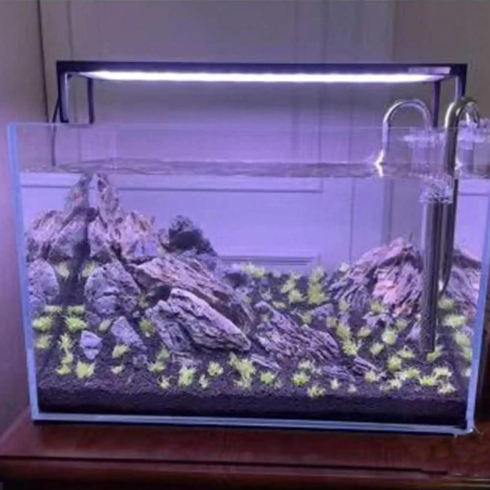 300g Black Horticultural Lava Rock, Volcanic Rock for Plants, Succulents, Garden Landscaping Decoration