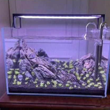 300g Black Horticultural Lava Rock, Volcanic Rock for Plants, Succulents, Garden Landscaping Decoration